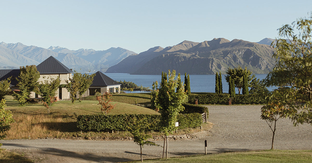 Rows of vines at Rippon Vineyard descending toward the crystal waters of Lake Wānaka with snow-capped Southern Alps.